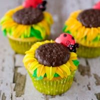 sunflower cupcakes recipe