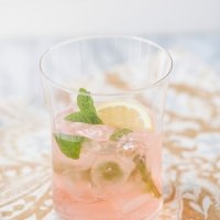 Permalink to: Elderflower Smash elderflower smash recipe