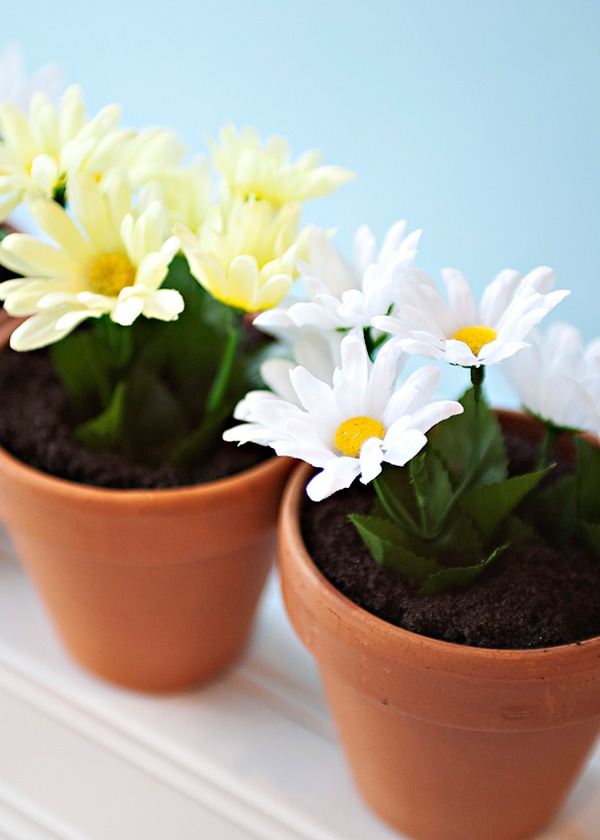 Cooking with Kids: Edible Dirt Flower Pots