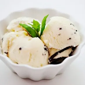 mint chocolate chip ice cream recipe