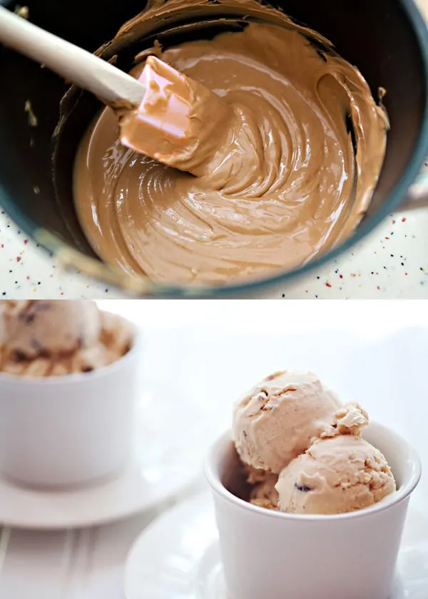 peanut butter chocolate chip ice cream