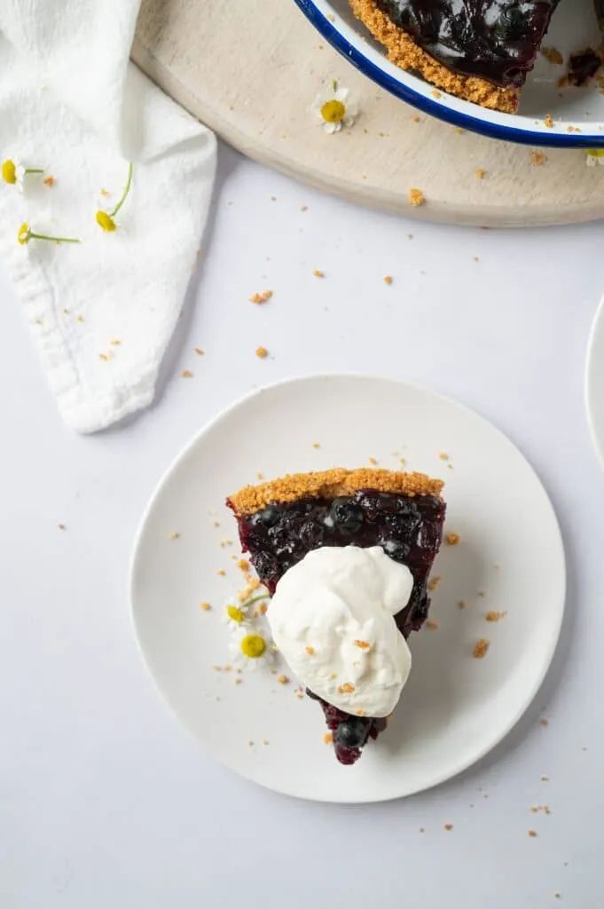 slice of bluberry pie on a plate with a dollop of whipped cream
