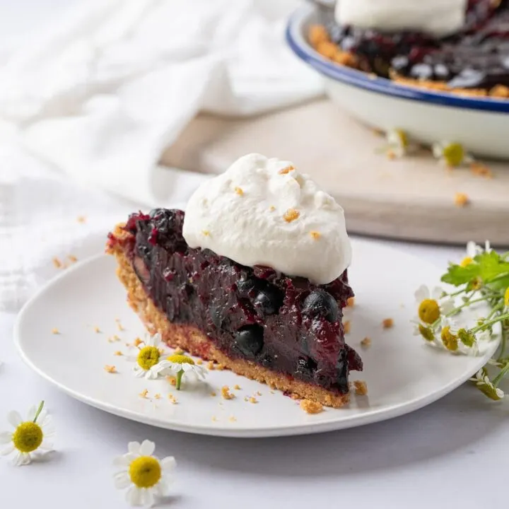 a piece of fresh blueberry pie on a plate with a whole pie in the background