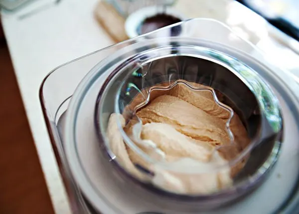 peanut butter chocolate chip ice cream recipe