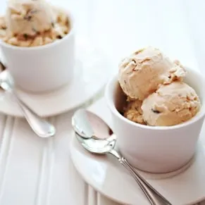 peanut butter chocolate chip ice cream recipe