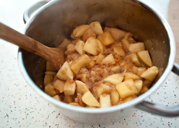 homemade apple sauce recipe