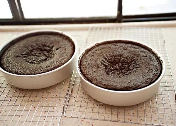 chocolate cake cooling in tins