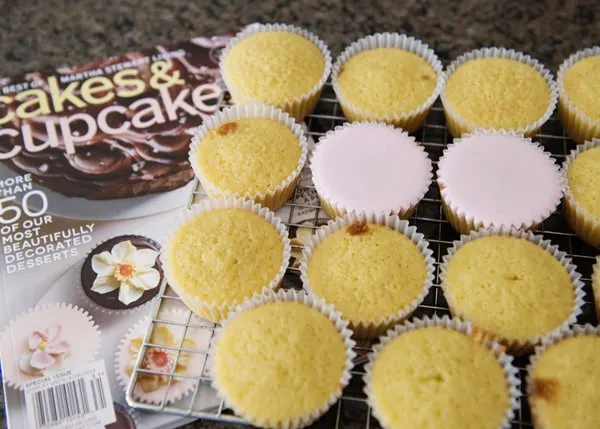 ginger and rosewater cupcakes recipe