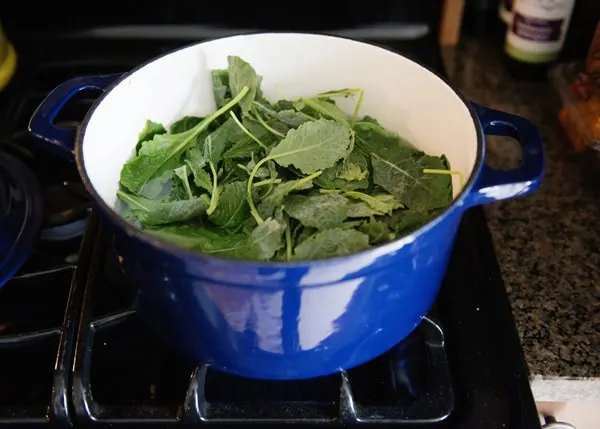Kale and Ricotta Pasta Recipe