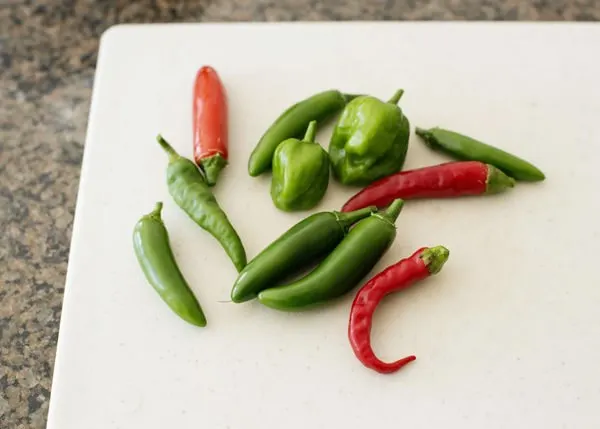 hot pepper jelly recipe