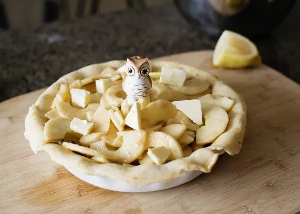 apple pie with cheddar thyme crust recipe