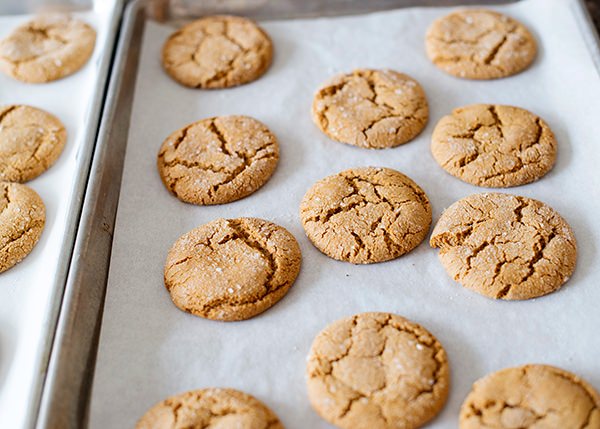 the best ginger cookie recipe