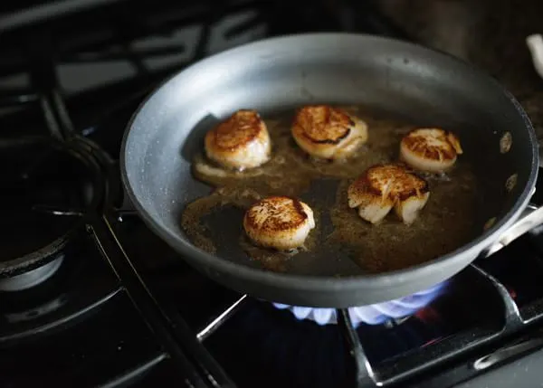 how to sear scallops