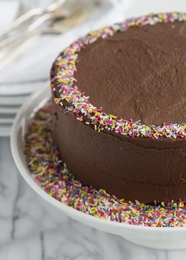 Chocolate Cake with Chocolate Buttercream with rainbow sprinkles
