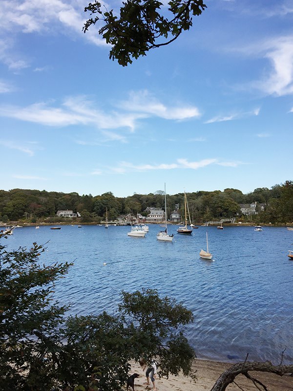 5 things to do in Falmouth, MA