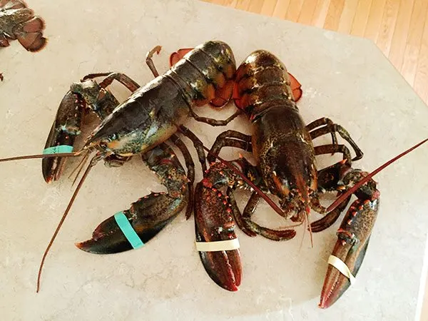 How to have a lobster bake at home