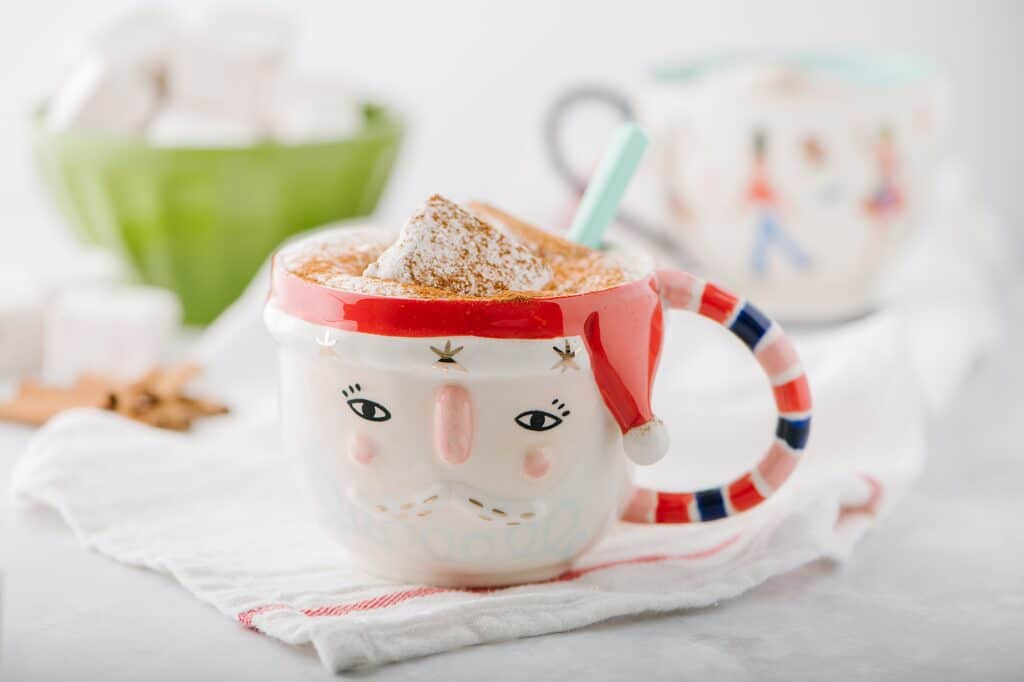 mug of hot chocolate with cinnamon vanilla bean marshmallows