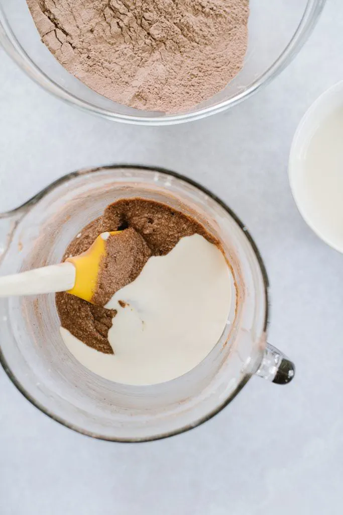 cocoa powder and yogurt in mixing bowl with spatula