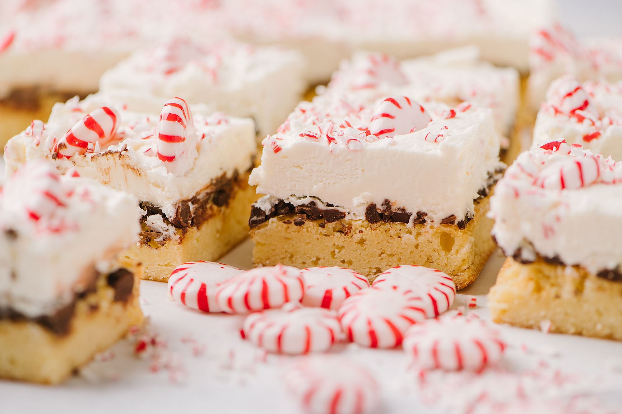 Peppermint White Chocolate Bars sliced with whole and crushed peppermints around them