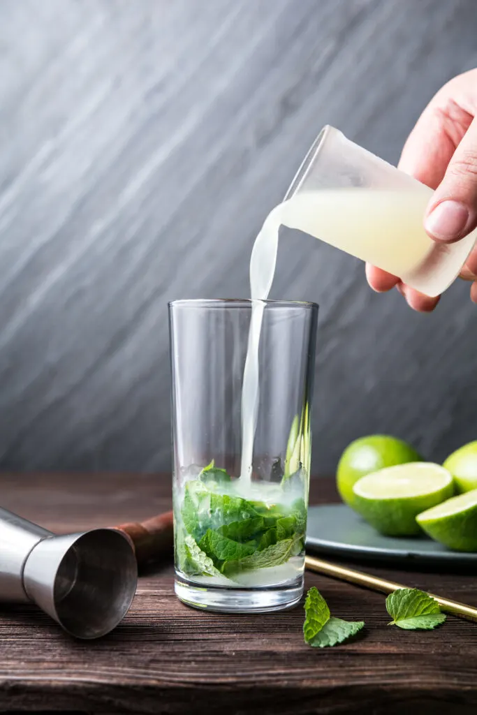 How to Make a Perfect Mojito step 2