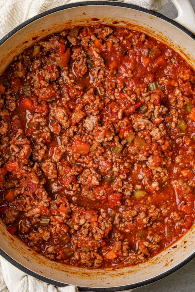 Tomato Sauce for Lasagna featured image focused shot