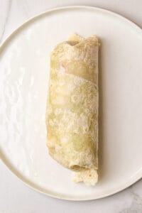 Vegetarian Burrito